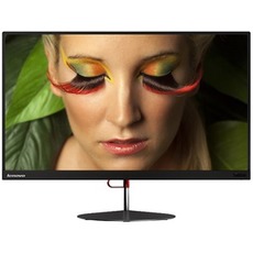 Ремонт мониторов Lenovo ThinkVision X24 в Москве